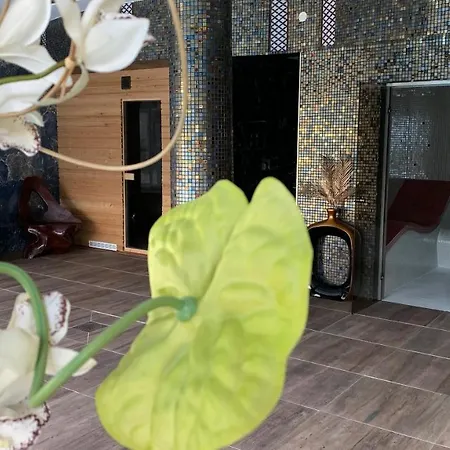 Les Charmes De La Vallée Noble